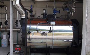 Sustitución caldera de vapor en las instalaciones de Frigorificos Bandeira.